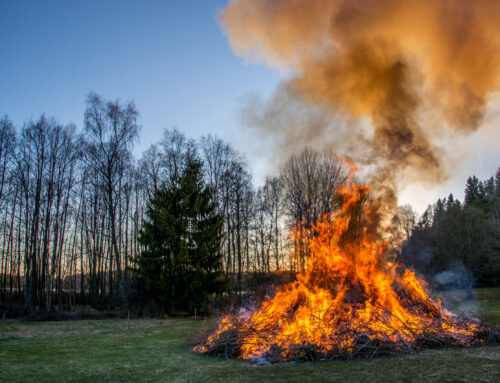 Värna djuren på valborgsmässoafton