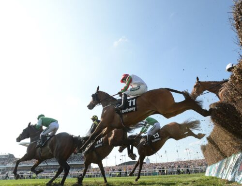 Hästkapplöpning fortsätter att skörda dödsoffer