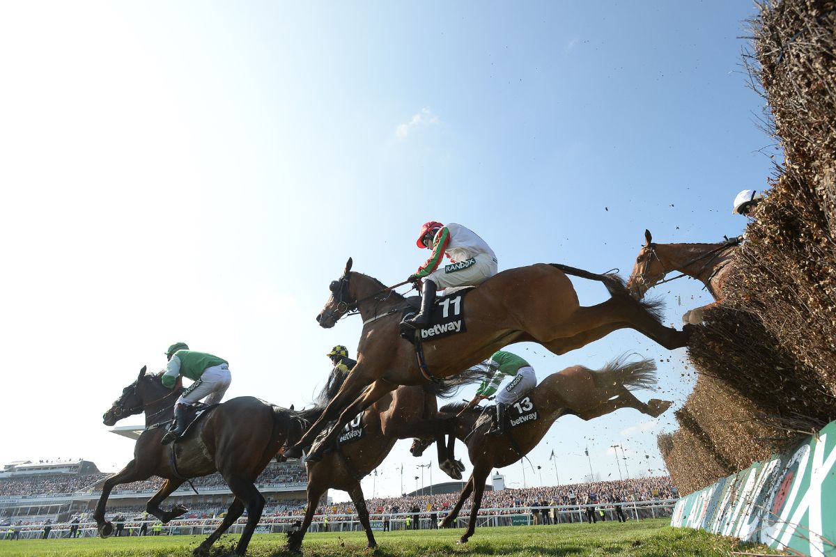 Hästar dog under Grand National 2026, en hästkapplöpningstävling i England.