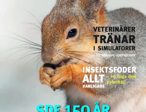 Djurens Värld nr 1 2025