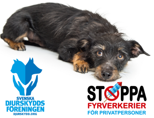 Öppet brev till försvarsutskottet: