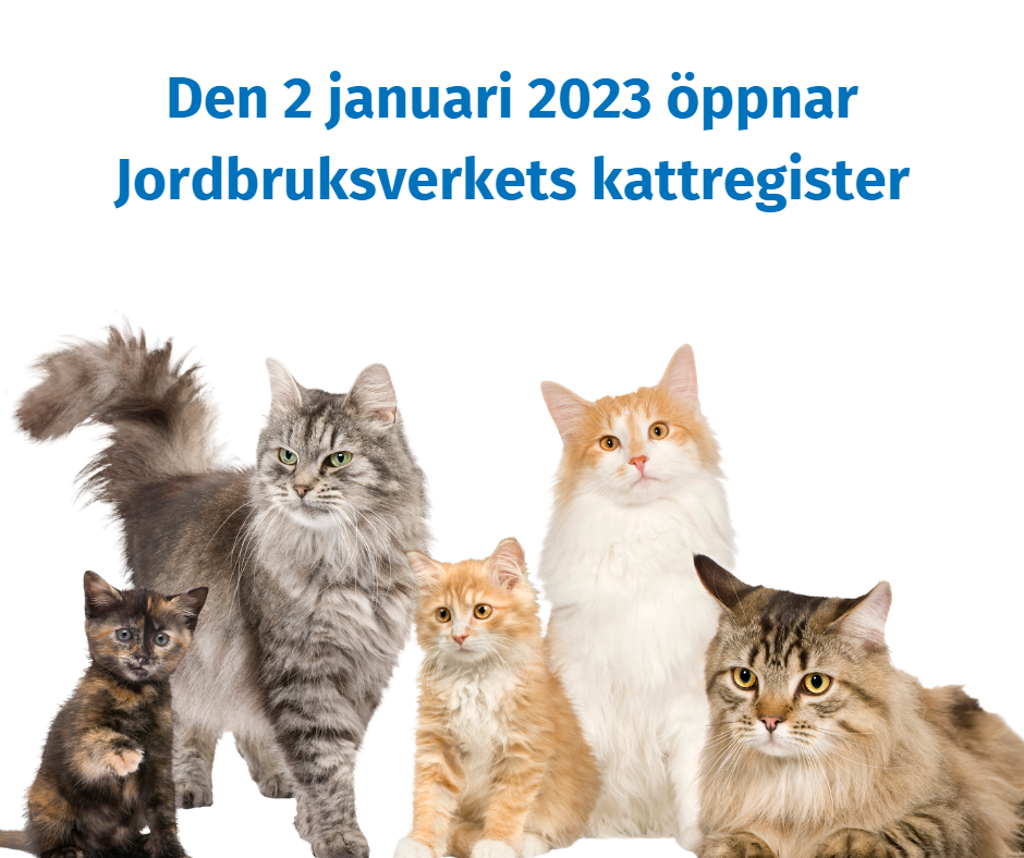 kattregister